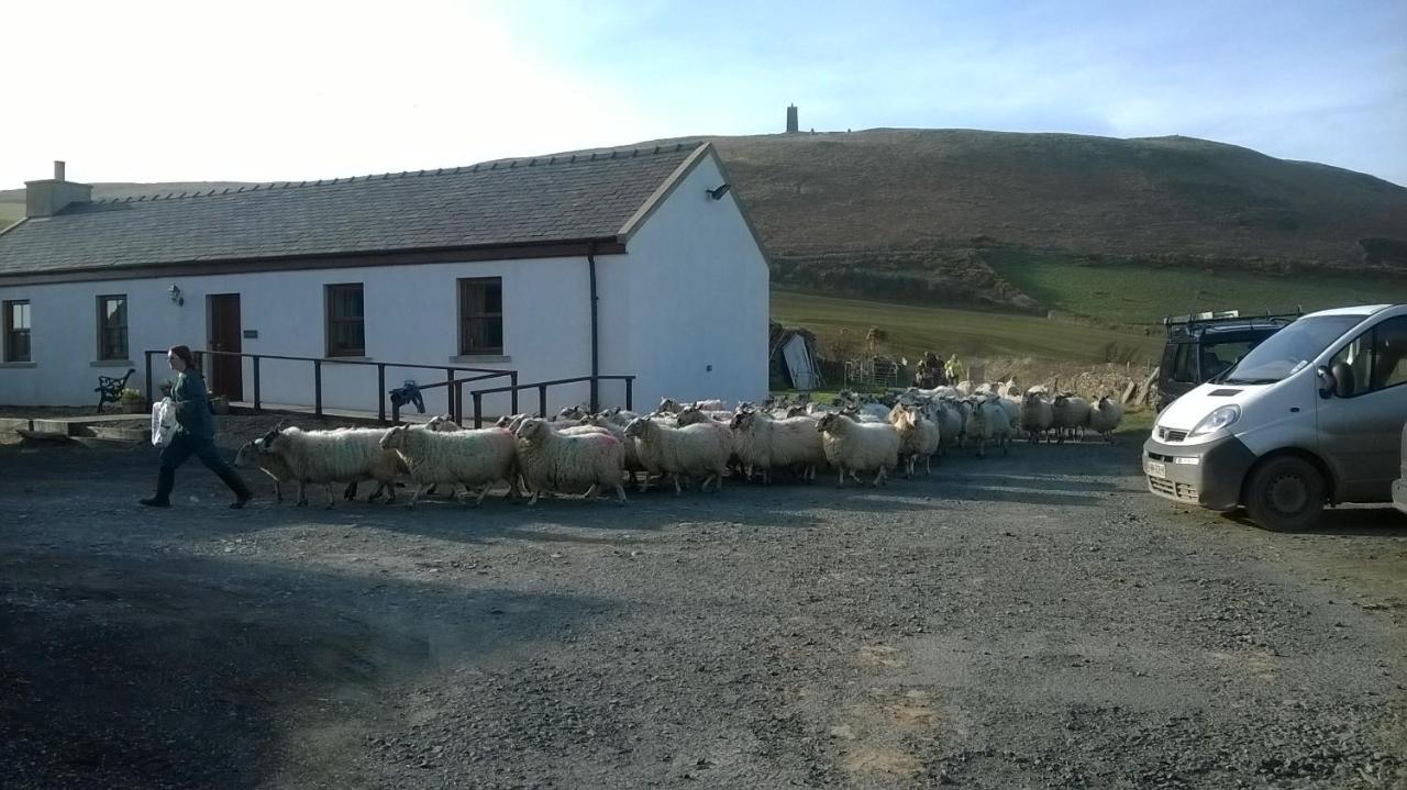 PatrickKnockaloe Beg Farm住宿加早餐旅馆 外观 照片