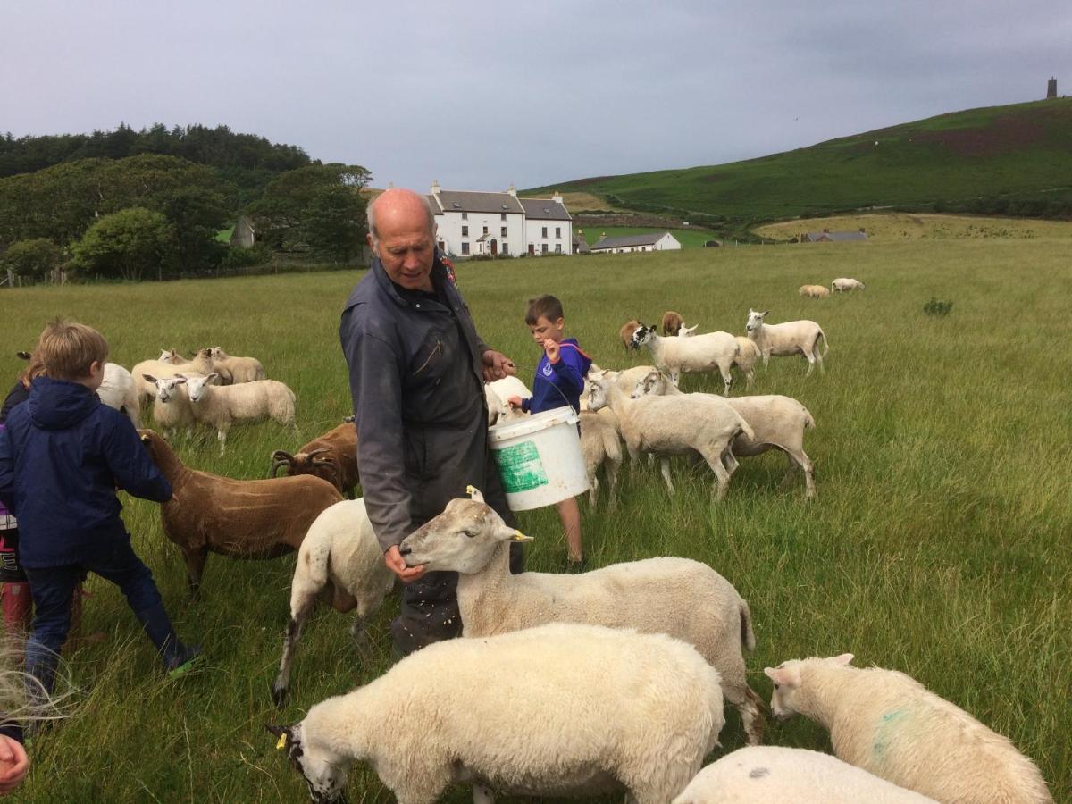 PatrickKnockaloe Beg Farm住宿加早餐旅馆 外观 照片